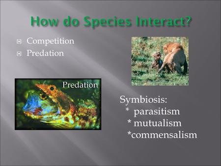  Competition  Predation Symbiosis: * parasitism * mutualism *commensalism.