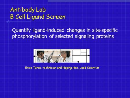 Antibody Lab B Cell Ligand Screen Quantify ligand-induced changes in site-specific phosphorylation of selected signaling proteins Erica Turon, technician.
