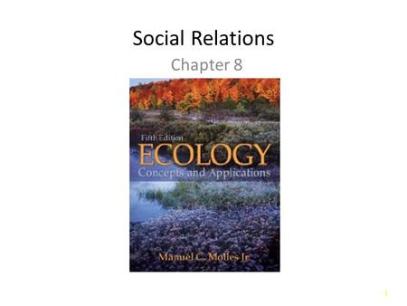 Social Relations Chapter 8.