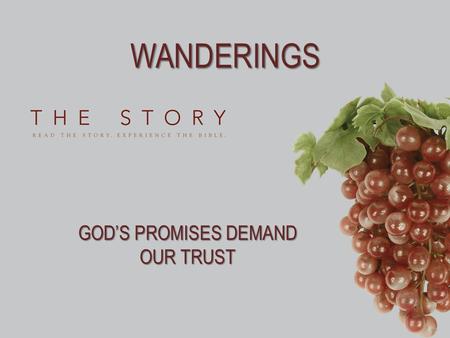 WANDERINGS GOD’S PROMISES DEMAND OUR TRUST. WORDS TO LIVE BY 1.If you were leaving a church, a company, or your family for the very last time, what would.