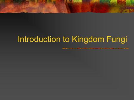 Introduction to Kingdom Fungi. What is a fungus? A eukaryotic, heterotrophic organism devoid of chlorophyll that obtains its nutrients by absorption,