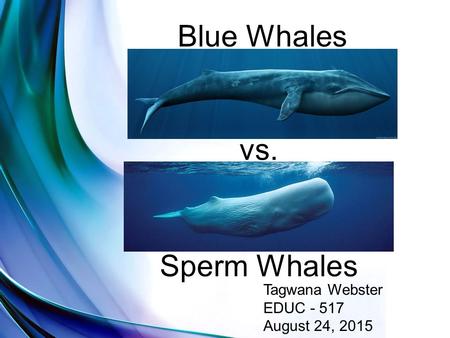 Blue Whales vs. Sperm Whales Tagwana Webster EDUC - 517 August 24, 2015.