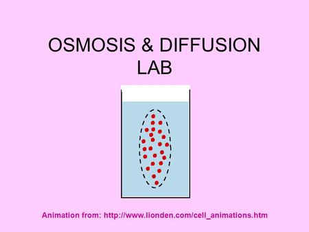 OSMOSIS & DIFFUSION LAB