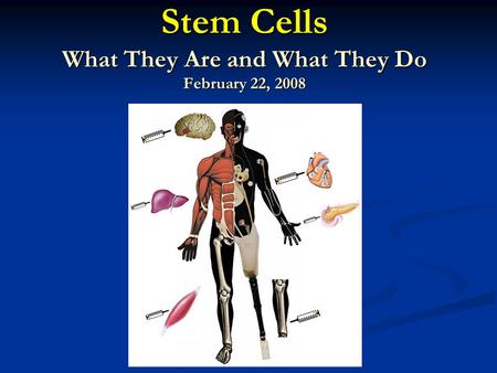 Stem Cells What They Are and What They Do February 22, 2008.