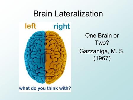 Brain Lateralization One Brain or Two? Gazzaniga, M. S. (1967)
