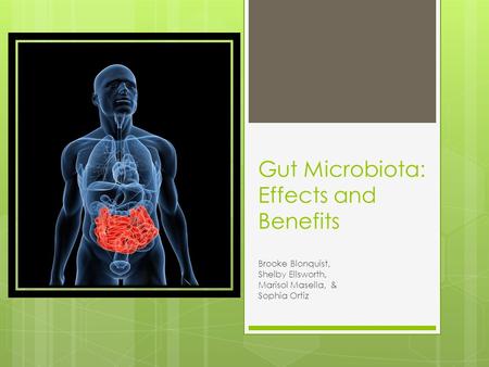 Gut Microbiota: Effects and Benefits