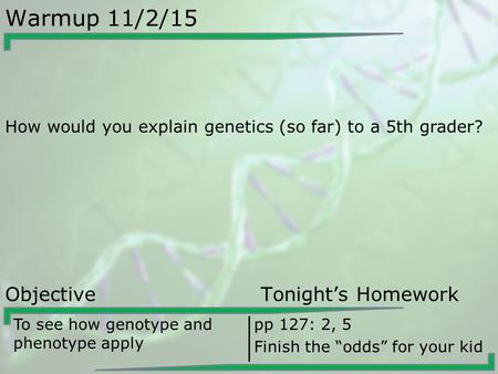 Warmup 11/2/15 How would you explain genetics (so far) to a 5th grader? Objective Tonight’s Homework To see how genotype and phenotype apply pp 127: 2,