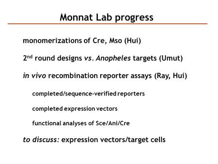 Monnat Lab progress monomerizations of Cre, Mso (Hui) 2 nd round designs vs. Anopheles targets (Umut) in vivo recombination reporter assays (Ray, Hui)
