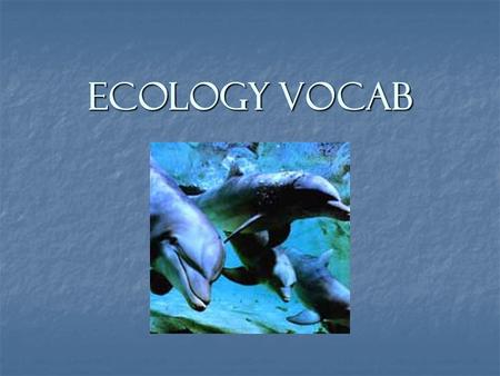 Ecology Vocab. What is Ecology? Ecology - The relationship between organisms and its environment. Ecology - The relationship between organisms and its.
