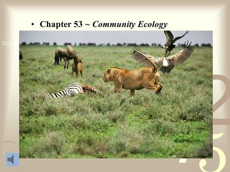 Chapter 53 ~ Community Ecology