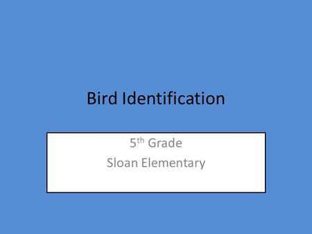 Bird Identification 5 th Grade Sloan Elementary Cedar waxwing.