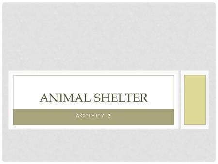 Animal Shelter Activity 2.