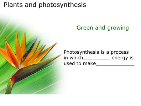 Plants and photosynthesis Green and growing Photosynthesis is a process in which_________ energy is used to make_____________.
