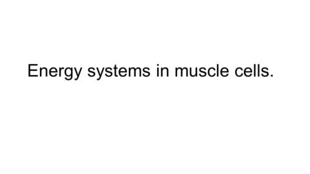 Energy systems in muscle cells.. During strenuous muscle activity the cell rapidly breaks down its reserves of ATP to release energy. Muscle cells have.