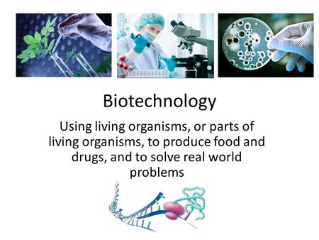 Biotechnology Using living organisms, or parts of living organisms, to produce food and drugs, and to solve real world problems.