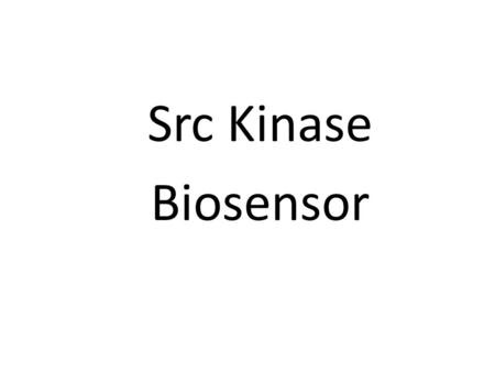 Src Kinase Biosensor. Outline 1.Src Kinase Introduction 2.Impacts of Src 3.Src reporter components  FPs (tECFP/EYFP)  SH2  Flexible linker  Substrate.