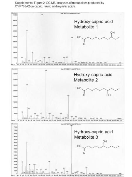 Hydroxy-capric acid Metabolite 2 Hydroxy-capric acid Metabolite 3 Hydroxy-capric acid Metabolite 1 Supplemental Figure 2: GC-MS analyses of metabolites.