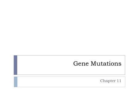 Gene Mutations Chapter 11.