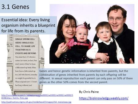 By Chris Paine https://bioknowledgy.weebly.com/ 3.1 Genes Essential idea: Every living organism inherits a blueprint for life from its parents. Genes and.