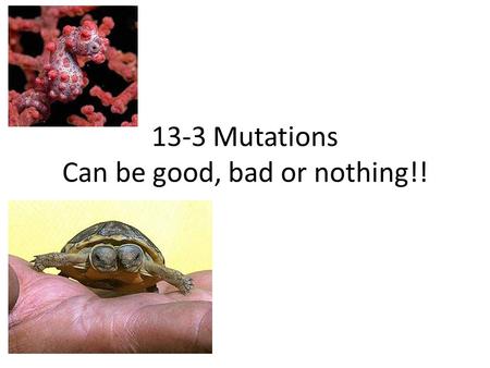 13-3 Mutations Can be good, bad or nothing!!. What is a mutation? The word is Latin for “to change”. There are 2 types: – 1) Single gene changes – 2)