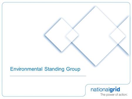 Environmental Standing Group. 2 Background  Ofgem issued an open letter on 15 th April 2008 to consider issues associated with carbon assessment for.