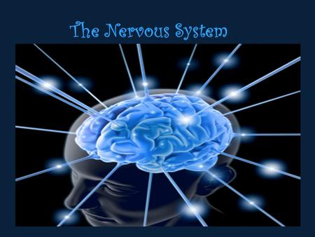 The Nervous System. Functions of the Nervous System Receive Sensory Input Integrate Information (Immediate response, ignore it, store in memory) Control.