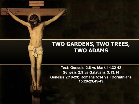 TWO GARDENS, TWO TREES, TWO ADAMS Text: Genesis 2:8 vs Mark 14:32-42 Genesis 2:9 vs Galatians 3:13,14 Genesis 2:19-23; Romans 5:14 vs I Corinthians 15:20-23,45-49.