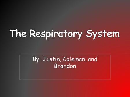 By: Justin, Coleman, and Brandon. The Function The function of the respiratory is that it supplies blood with oxygen for the blood to deliver oxygen to.
