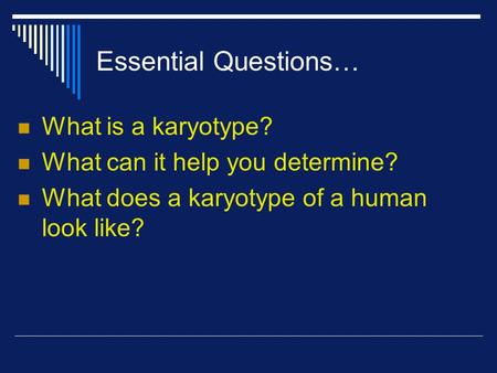 Essential Questions… What is a karyotype?