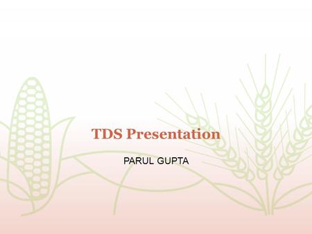 TDS Presentation PARUL GUPTA. TDS-Tax Deducted at Source Every Person including INDIVIDUAL and HUF even if they are nor required to get their accounts.