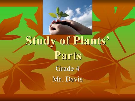 Study of Plants’ Parts Grade 4 Mr. Davis.