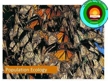 Population Ecology population ecosystem community biosphere organism.
