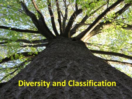 Diversity and Classification. Taxonomy “The science of naming organisms and assigning them to groups.” Taxa- groups to which Linnaeus assigned organisms;