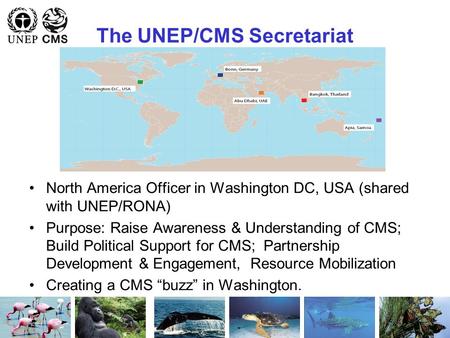 The UNEP/CMS Secretariat North America Officer in Washington DC, USA (shared with UNEP/RONA) Purpose: Raise Awareness & Understanding of CMS; Build Political.