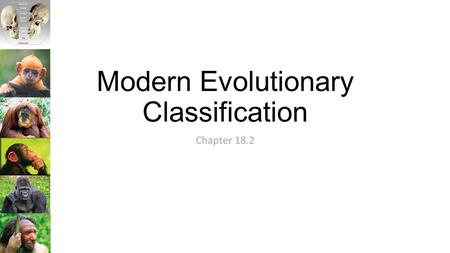 Modern Evolutionary Classification Chapter 18.2. The Problem with the Linnaeus System Linnaeus classified organisms based on overall similarities and.