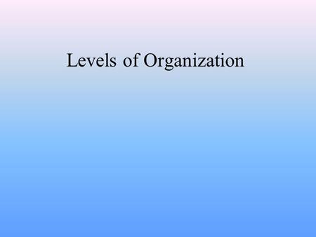Levels of Organization Division of Labor & The First Level Within multi-cellular organisms there is division of labor. Division of labor means that the.