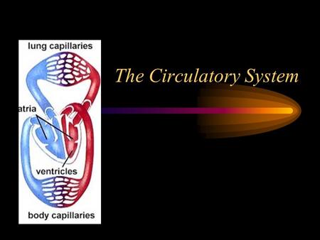The Circulatory System. Vertebrates have Closed circulatory systems A system that uses a continuous series of vessels of different sizes to deliver blood.