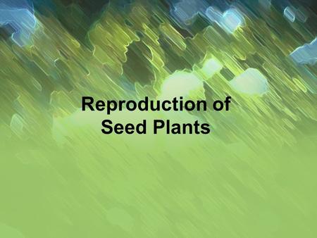 Reproduction of Seed Plants. Alternation of Generation All plants life cycle alternates Diploid Sporophyte  Haploid Gametophyte Sporophyte = Entire.