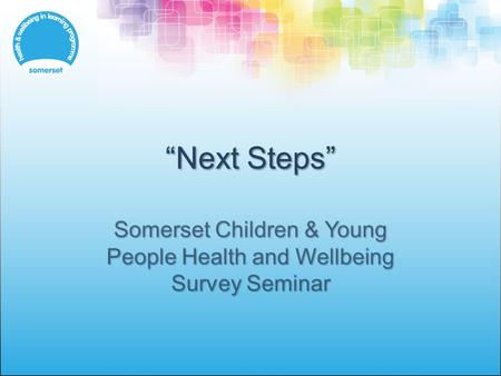 “Next Steps” Somerset Children & Young People Health and Wellbeing Survey Seminar.