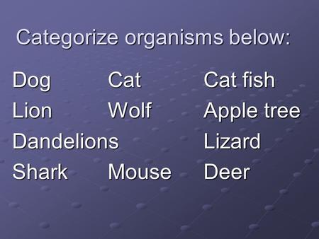 Categorize organisms below: DogCatCat fish LionWolfApple tree DandelionsLizard SharkMouseDeer.