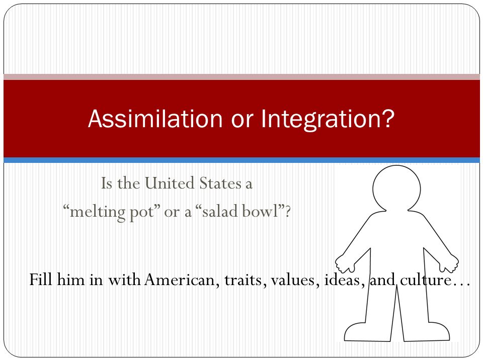 Integration Assimilation Definition