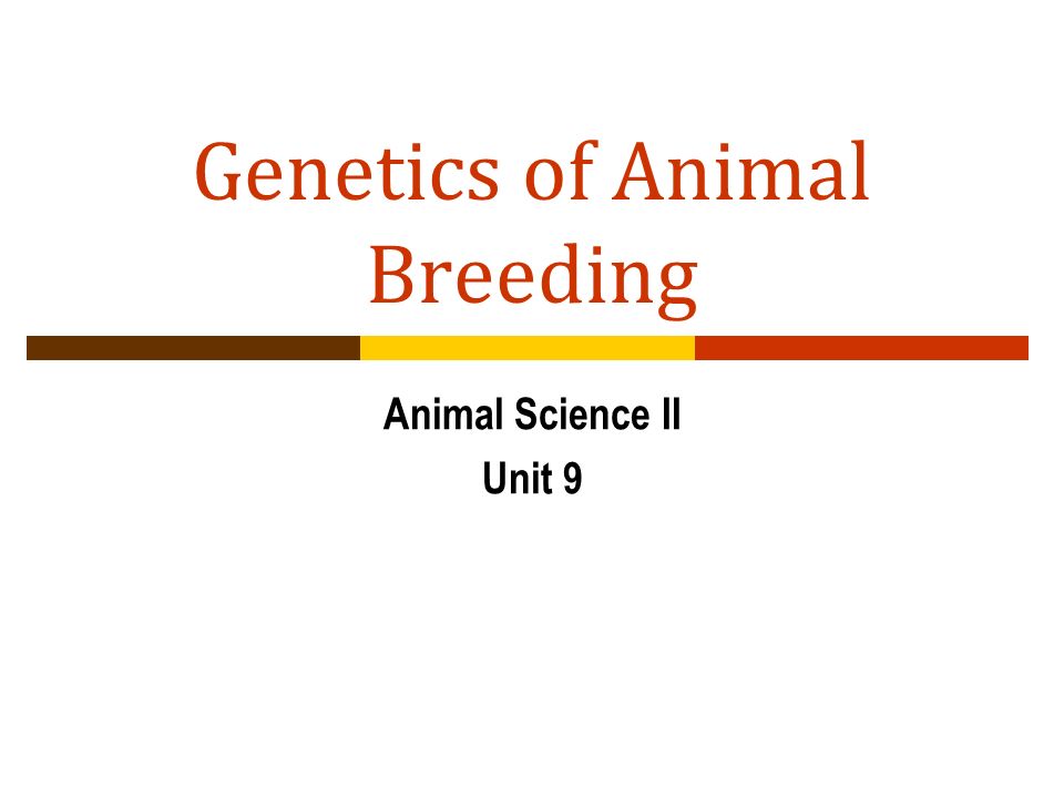 Genetics of Animal Breeding - ppt video online download