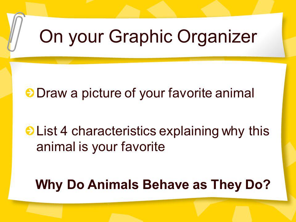 On your Graphic Organizer Draw a picture of your favorite animal List 4  characteristics explaining why this animal is your favorite Why Do Animals  Behave. - ppt download