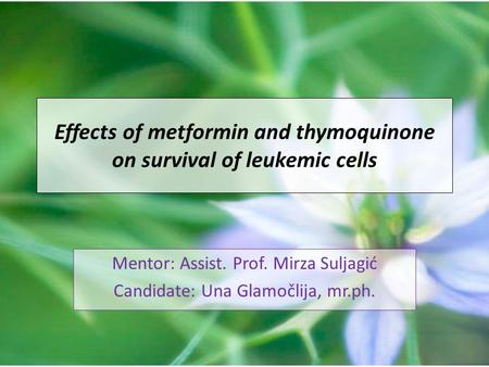 Effects of metformin and thymoquinone on survival of leukemic cells