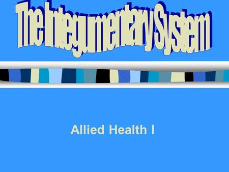 Allied Health I. INTEGUMENTARY SYSTEM Skin = Integument = Cutaneous Membrane 7 Functions: –1.Protective covering –2.Regulates body temperature –3.Manufactures.
