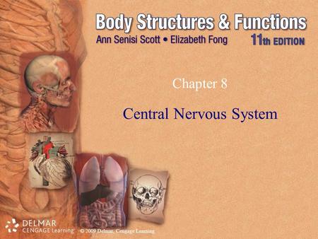 © 2009 Delmar, Cengage Learning Chapter 8 Central Nervous System.