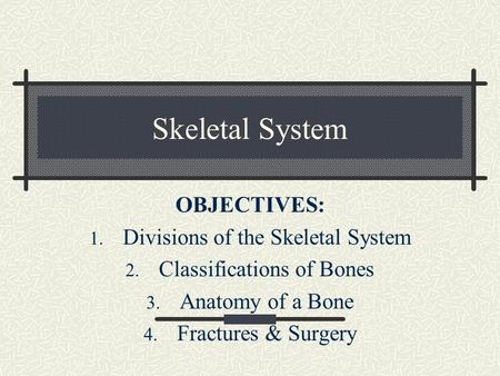 Skeletal System OBJECTIVES: Divisions of the Skeletal System