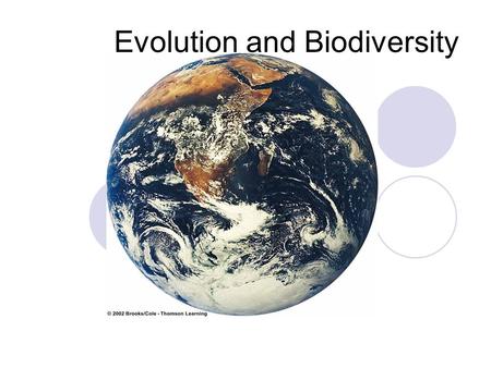 Evolution and Biodiversity. Origins of Life on Earth 4.7-4.8 Billion Year History Evidence from chemical analysis and measurements of radioactive elements.