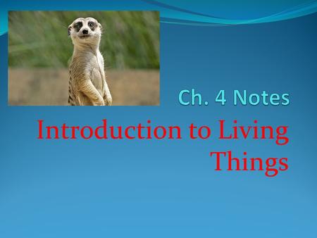 Introduction to Living Things. Taxonomy The scientific study of how living things are classified.