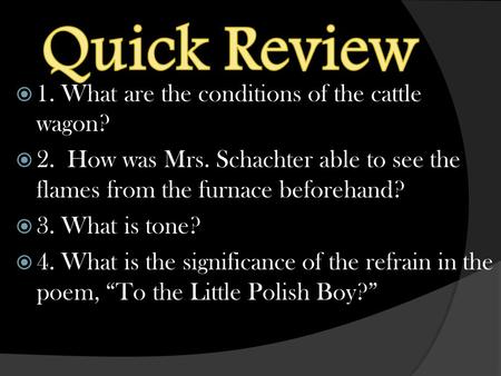  1. What are the conditions of the cattle wagon?  2. How was Mrs. Schachter able to see the flames from the furnace beforehand?  3. What is tone? 